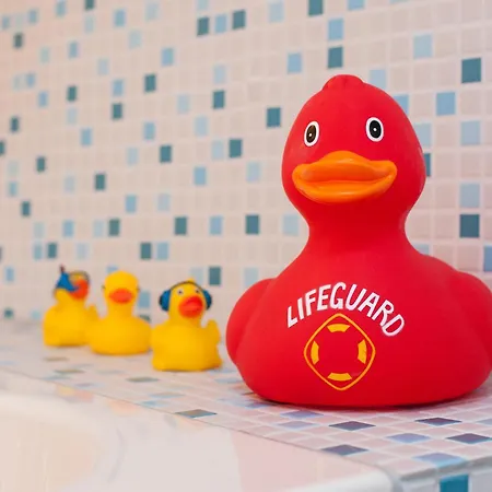 Houseboat De Cornelia Pensjonat